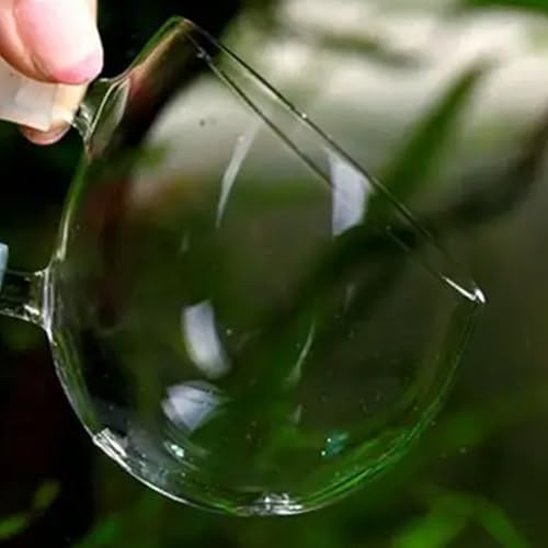 WHJY Transparent Glass Round Aquarium Suction Cups - Plant Holder, Fish Tank Decor - Set of 4