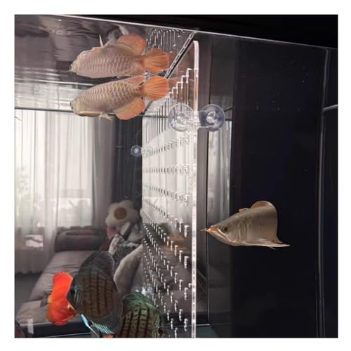 Rygcrud Aquarium Décor Tank Dividers, 5mm Thick Acrylic Panel with Suction Cups, Clear Separator Plate Baffle Cover for Fighting, Divide Space(30x65cm) - size: 30x65cm