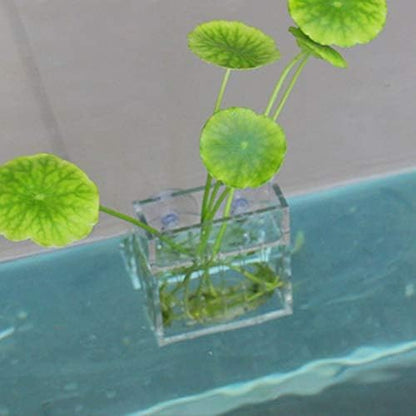 La La Pet Acrylic Mini Suction Cup for Aquatic Plants Transparent Water Plant Cup Pot Holder for Aquarium Fish Tank Decor Large - size: L