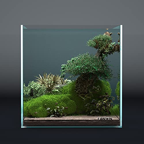30C 6.6 Gallon Rimless Low Iron Aquarium Tank, W11.8×D11.8×H11.8 in(30x30x30cm) 5mm Thickness with Nano Foam Leveling Mat Included - size: 06.6Gal W11.8×D11.8×H11.8 in(30x30x30cm)