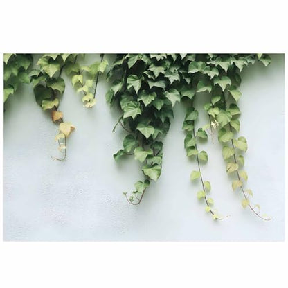 T&H XHome Aquarium Décor Backgrounds Spring Tree Branch Growing on a White Wall Pattern Fish Tank Background Aquarium Sticker Wallpaper Decoration Picture PVC Adhesive Poster 24.4" W x 16.4" H