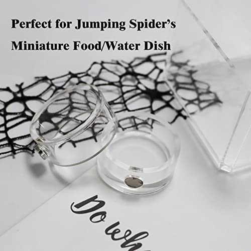 2Pcs Jumping Spider Feeding Dish, Magnetic Tiny Food Dishes Water Dish for Jumping Spider, Tarantula and Other Small Pets,Transparent