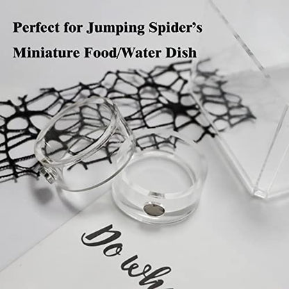 2Pcs Jumping Spider Feeding Dish, Magnetic Tiny Food Dishes Water Dish for Jumping Spider, Tarantula and Other Small Pets,Transparent