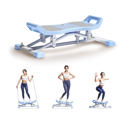 Ski Machine, 6-in-1 Balance Board with LCD for Home Workout