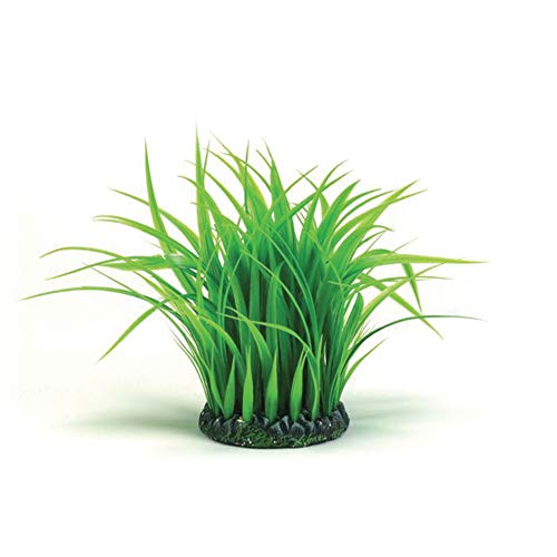 biOrb Medium Grass Ring, Colorful and Durable Aquarium Decorations, Green - size: Medium