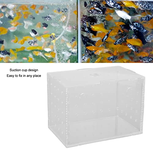 Fish Breeder Box, Aquarium Fish Breeding Box, High Transparency Acrylic Hatchery Incubator Tank with Suction Cups for Baby Fish Shrimp Clownfish Isolation and Rearing (11 * 7 * 8CM) - size: 11*7*8CM