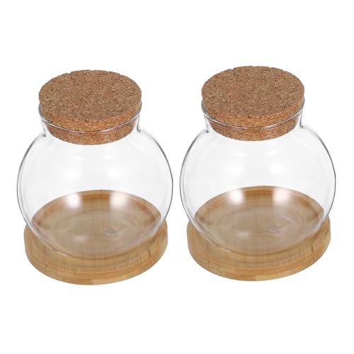 MAGICLULU 2Set Hydroponic Plant Vases Small Glass Betta Tanks with Lid and Mat for Desktop Decoration for Plant Lovers and Home Office Decor
