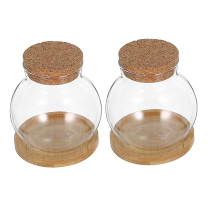 MAGICLULU 2Set Hydroponic Plant Vases Small Glass Betta Tanks with Lid and Mat for Desktop Decoration for Plant Lovers and Home Office Decor