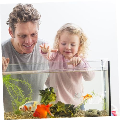 Toyvian Aquarium Fish Feeder Tube with Shrimp Feeding Dish, 28cm Feeder Pipe for Betta Fish and Aquarium Shrimp Feeding