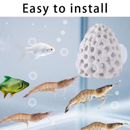 2pcs Shrimp Hides for Aquarium, Multi-Hole Shrimp Dome Hide House with Suction Cup Coral Design Betta Fish Toys Fish Tank Accessories for Guppy and More Hiding Resting (White)