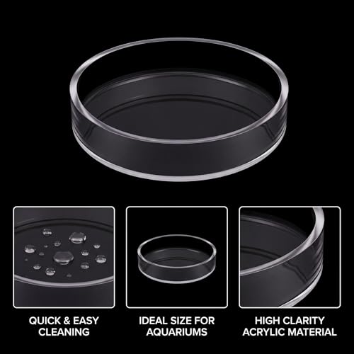 4 Pcs Shrimp Feeding Dish, Glass Fish Tank Feeder 65mm and 85mm Round Clear Aquarium Feeding Dish Freshwater Tray Feeder