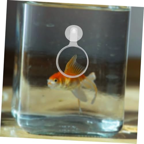 Didiseaon 4pcs Clear Acrylic Magnifier with Cup for Fish Tank Observation Lens for Plants and Animals Easy Installation and Use