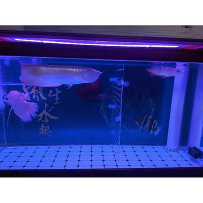 Rygcrud Aquarium Décor Tank Dividers, 5mm Thick Acrylic Panel with Suction Cups, Clear Separator Plate Baffle Cover for Fighting, Divide Space(37x65cm) - size: 37x65cm