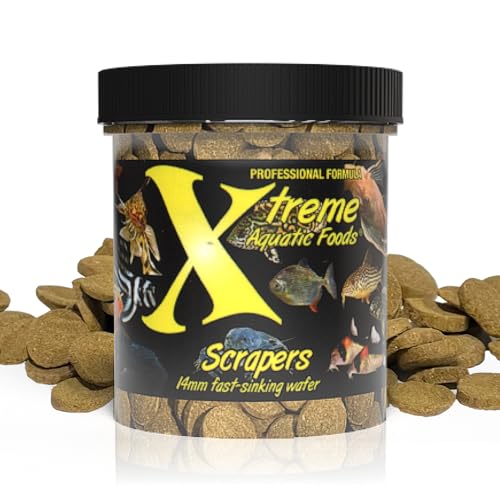 Xtreme Scrapers Wafers - Premium 14mm Fast-Sinking Fish Food – Nutrient & Cellulose Rich Ideal for Nocturnal Feeders, Catfish, Plecostomus Species, and Loaches – USA Farm Grown (2oz) - size: 2.4 Ounce (Pack of 1)