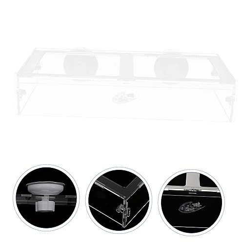 Happyyami 1pc Fish Tank Feeding Ring Aquarium Feeding Tool Aquarium Food Container Worm Feeder for Aquarium Automatic Fish Feeders Fish Tank Feeder Feeding Circle Sucker Fish Food Acrylic