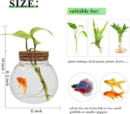 Small Fish Bowl, Cute Betta Tank, High Clear Fish Glass Bowl, Desktop Mini Aquarium Vases for Betta Fish and Hydroponic Plants, Plants Propagation Station, Home Office Table Decorations - size: 0.5 Gallon