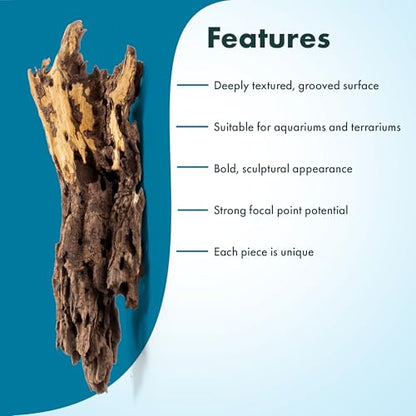 Natural Aquarium Driftwood for Fish Tanks, Terrarium, Reptile Habitats, Freshwater Aquatic Decor - Small to Large Pieces (Dragon Wood (Medium) 6-12", 3 Pieces) - size: 3 Pieces