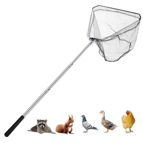 Chicken Catching Net, Animal net with Extendable 46 Inch Stainless Steel Pole, Chicken Nets for Chickens, Ducks, Birds Cats, Dogs，Fishnet, Chicken Catcher for Poultry Supplies