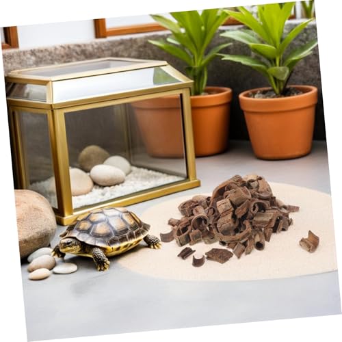 Natural Pecan Wood Bark Sheets 100g for DIY Terrarium Background, Reptile Habitat Decor, Fish Tank and Snake Enclosure Backdrop
