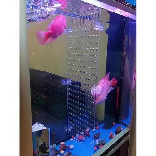 Rygcrud Aquarium Décor Tank Dividers, 5mm Thick Acrylic Panel with Suction Cups, Clear Separator Plate Baffle Cover for Fighting, Divide Space(44x65cm) - size: 44x65cm