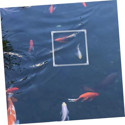 1Set Aquarium Floating Plant Ring Feeding Isolation Barrier for Freshwater Tanks Stable Floating Plant Holder Preventing Fish Disturbance Easy Integration with Aquarium Environment