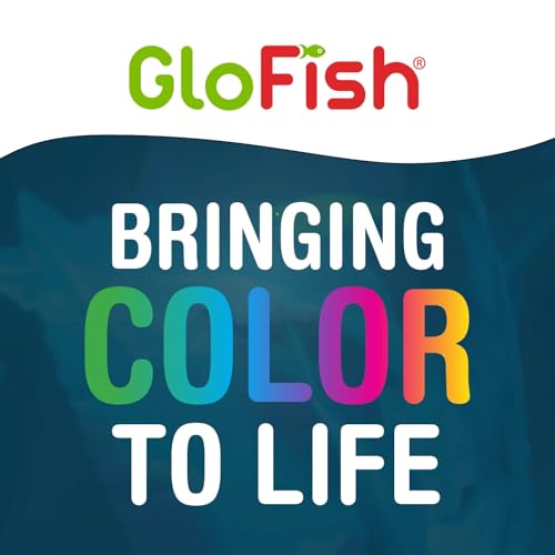 GloFish Aquarium Gravel 5 Pounds, White, Complements GloFish Tanks (29022) (Pack of 2) - color: White Frost, size: 5 pounds (Pack of 2)