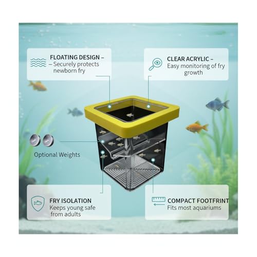 Floating Fish Breeding Box, Acrylic Fry Isolation Tank for Aquariums, Separates Newborn Fry from Adult Fish (1 PC)