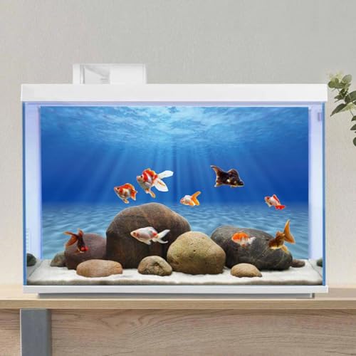 AWERT Undersea Theme Aquarium Background Sunshine Underwater World Fish Tank Background 60x24 inches Durable Polyester Background