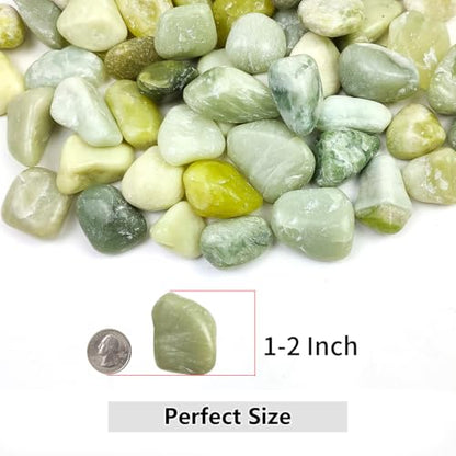 2lbs Jade Pebbles for Plants, 1-2 Inch High Polished Natural River Rocks for Landscaping, Decorative Stones Vase Filler Fish Tank Aquariums Garden Outdoor and Indoor DIY