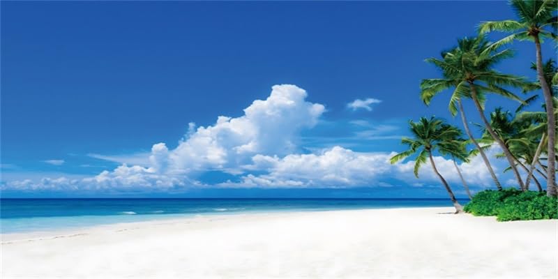 AWERT 36x24 inches Nature Landscape Aquarium Background Beach Coconut Trees Clouds Sea Natural Scenery Fish Tank Background Cloud Sky Summer Scenery Fish Tank Background - size: 36x24in/90x60cm
