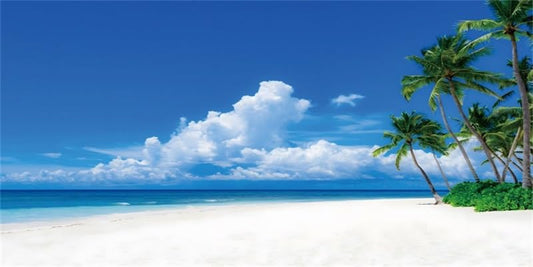 AWERT 48x18 inches Nature Landscape Aquarium Background Beach Coconut Trees Clouds Sea Natural Scenery Fish Tank Background Cloud Sky Summer Scenery Fish Tank Background - size: 48x18in/120x45cm