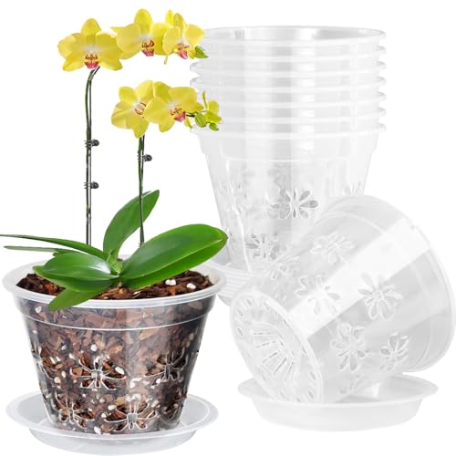 Orchid Pot, 5''(top diameter) x 3.6''H 8 Pack Clear Orchid Pots with Holes and Saucers,Breathable Slotted Plastic Plant Planters, Drainage Design for Healthy Root Growth, Ideal for Orchid Repotting - color: Clear, size: 5'' x 3.6'' (8 pack)