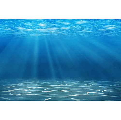 Underwater World Background 13x10ft Undersea World Sunlight Deep Sea Blue Water Sun Ray Backdrop Seabed Children Birthday Party Home Decoration Kid Boy Newborn Photo Studio Aquarium Background - size: 13x10ft