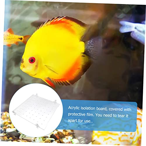 ORFOFE 1set Fish Tank Segregation Board Easy Install Isolation Plate for Mixed Breeding Fixed Clips Increases Fish Survival Rate by Separating Aggressive Species