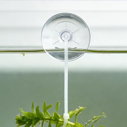 30 PCS Mini Aquarium Suction Cups 35mm with 50 PCS Adjustable Transparent Zip Ties for Fish Tank Plants, Planter, Binding Moss, Window
