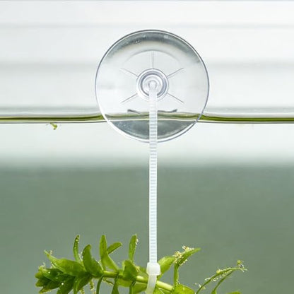 30 PCS Mini Aquarium Suction Cups 35mm with 50 PCS Adjustable Transparent Zip Ties for Fish Tank Plants, Planter, Binding Moss, Window