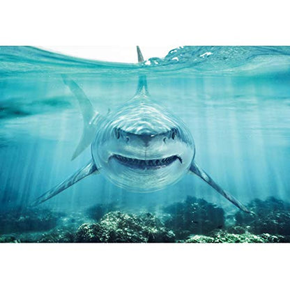 Haoyiyi 8x6ft Underwater Shark Backdrop Deep Under Sea Seabed World Great White Shark Aquarium Photography Background Baby Boy Birthday Celebration Theme Party Kid Diver Portrait Photo Studio Props