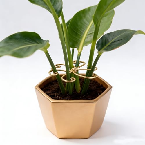 5Pcs Plant Stem Support, Moss Pole for Climbing Plants, Durable Iron Hook Grapple Holder for Monstera, Indoor Outdoor Plant Support Stakes, Trellis for Potted Plants, Turtle Shell Stabilization