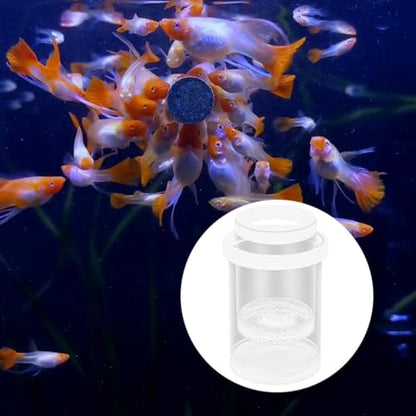 Fish Breeding Box Floating Fish Isolation Container Aquarium Incubator Holder Cylindrical Design Clear Pp Material Suitable for Betta Guppy Clown, White
