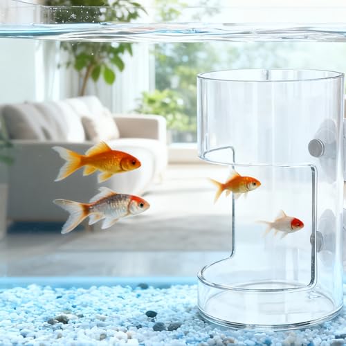 No Mess Aquarium Feeder, Acrylic Clear Fish Tank Feeder with Suction Cup, Preventing Food Scattering Feeding Tray Hollow Floating Sinking Shrimp Food Holders (Square,1) - color: Square