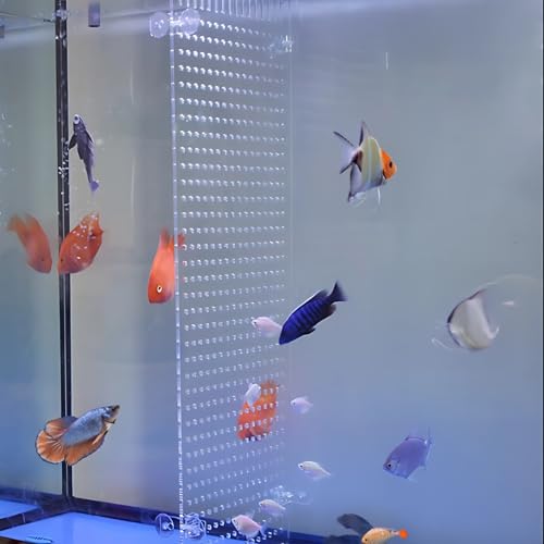 Transparent Pmma Fish Tank Divider, Aquarium Isolation Board, Easy to Install with Suction Cups, Suitable for 10 Gallon Tanks, Dimensions 9.8 X 11.8 in / 25 X 30 Cm