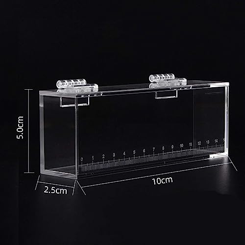 Acrylic Fish Observation Box, Small Photo Tank for Fish Photography and Breeding, 3.94 x 1.97 x 0.98 in - size: S