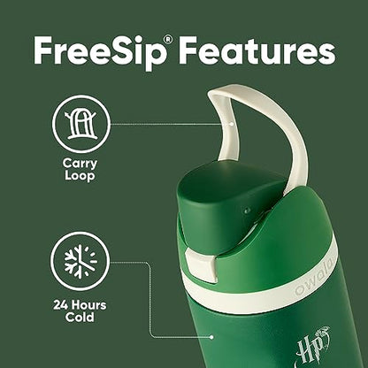 Owala Harry Potter FreeSip Stainless Steel Water Bottle 24 oz Slytherin - color: Slytherin, size: 24 Ounces