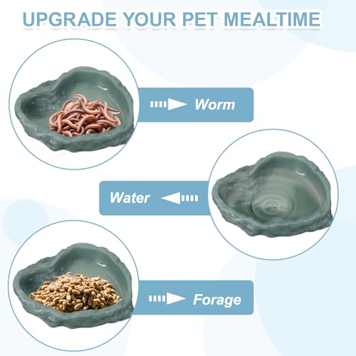 Reptile Food Bowl, Reptile Feeding Dish Corner Bowl Water Resin Rock Worm Feeder Dish l (9.8 in, Glow Dark Green), Intended for Lizards/o/Scaled Pet/Leopard/Spiders