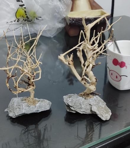 2pcs Small Bonsai Aquarium Tree,4-6inch,Handmade Aquarium Bonsai Tree Aquarium Decor Tree