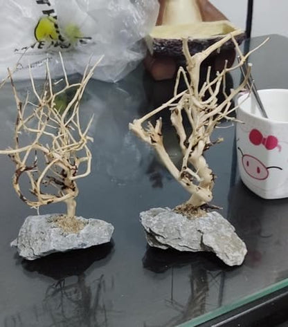 2pcs Small Bonsai Aquarium Tree,4-6inch,Handmade Aquarium Bonsai Tree Aquarium Decor Tree