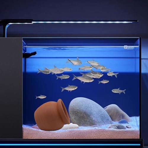 AnRui Betta Fish Tank Decor Ceramic Jar Aquarium Accessories Decorations Cute Clay Pot Hideout Cave Ornaments for Small Fish, Shrimp, Cichlid to Play Hide Breed, Small