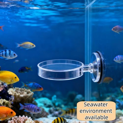 3Pcs No Mess Aquarium Feeder - Premium Shrimp Feeding Dish with Suction Cups Round Fish Food Feeding Bowls for Clear Fish Tanks Anti-Slip Design Food Box for Aquarium