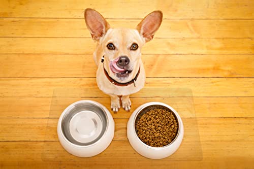 Clear Pet Bowl Mat, USA Made, Safe, Waterproof, 18 x 24 Inch, 2mm Thick Smooth Vinyl, Floor Protection, Dog Cage Mat, Under Aquarium Mat