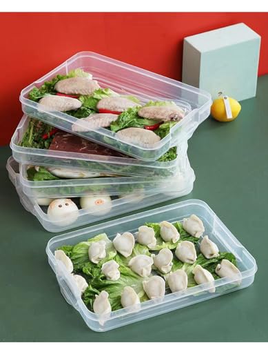 TIAN CHEN Food Refrigerator Storage Containers with 2 Lids, 4 Layer, Stackable Handheld Carrier for Snack, Cookie, Meat, Bacon, Charcuterie, BPA Free (Transparent 4 tier)